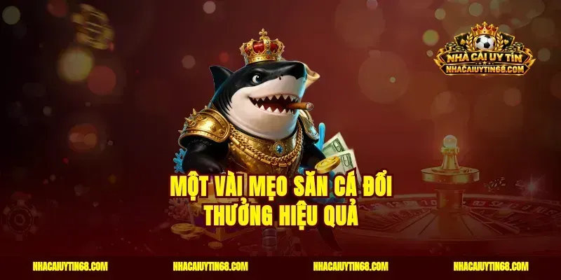 Một vài mẹo săn cá đổi thưởng hiệu quả