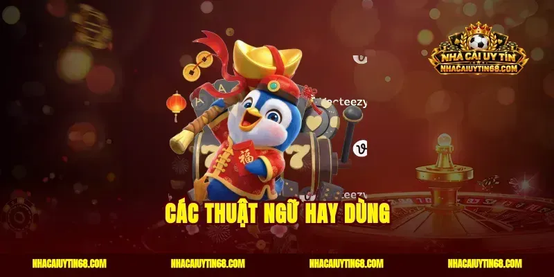 Các thuật ngữ hay dùng
