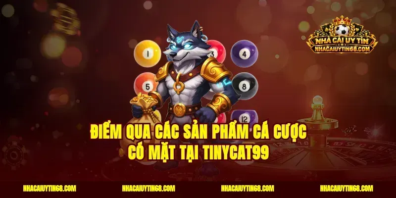 Điểm qua các sản phẩm cá cược có mặt tại Tinycat99