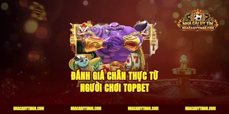 Đánh giá chân thực từ người chơi Topbet