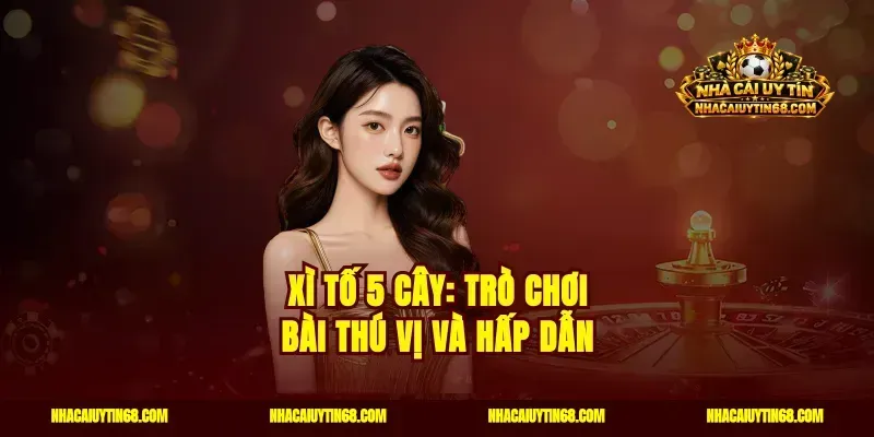 Xì tố 5 cây: Trò chơi bài thú vị và hấp dẫn