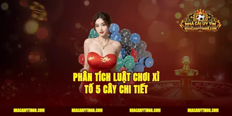 Phân tích luật chơi xì tố 5 cây chi tiết